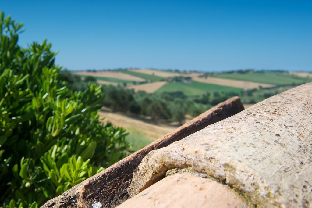 Ferienwohnung Poggio Antico Monte San Vito Exterior foto